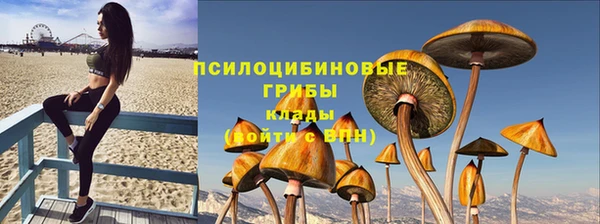 спиды Няндома